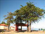 Carolina Beach - CAROLINA